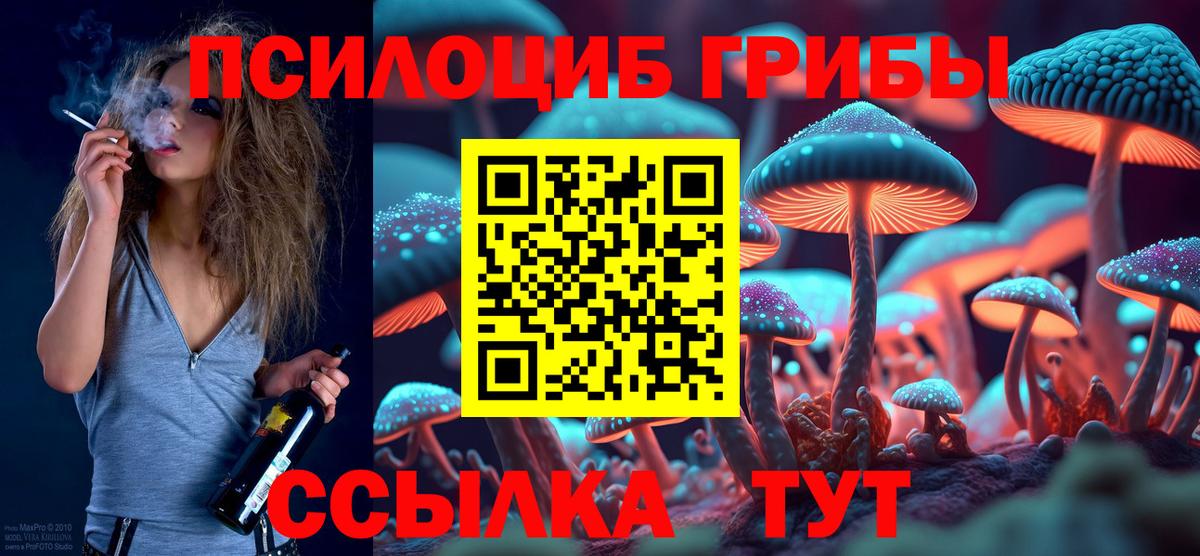 Псилоцибиновые грибы Psilocybine cubensis  Вход с VPN  Галлюциногенные грибы GOLDEN TEACHER  Дзержинск 
